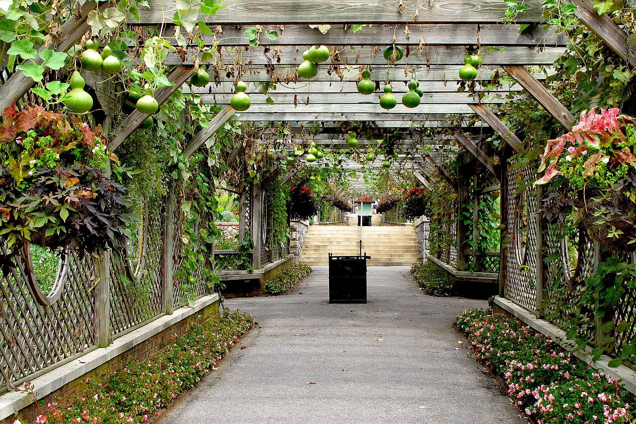 A pergola hung with gourds and flowers in the Biltmore gardens.