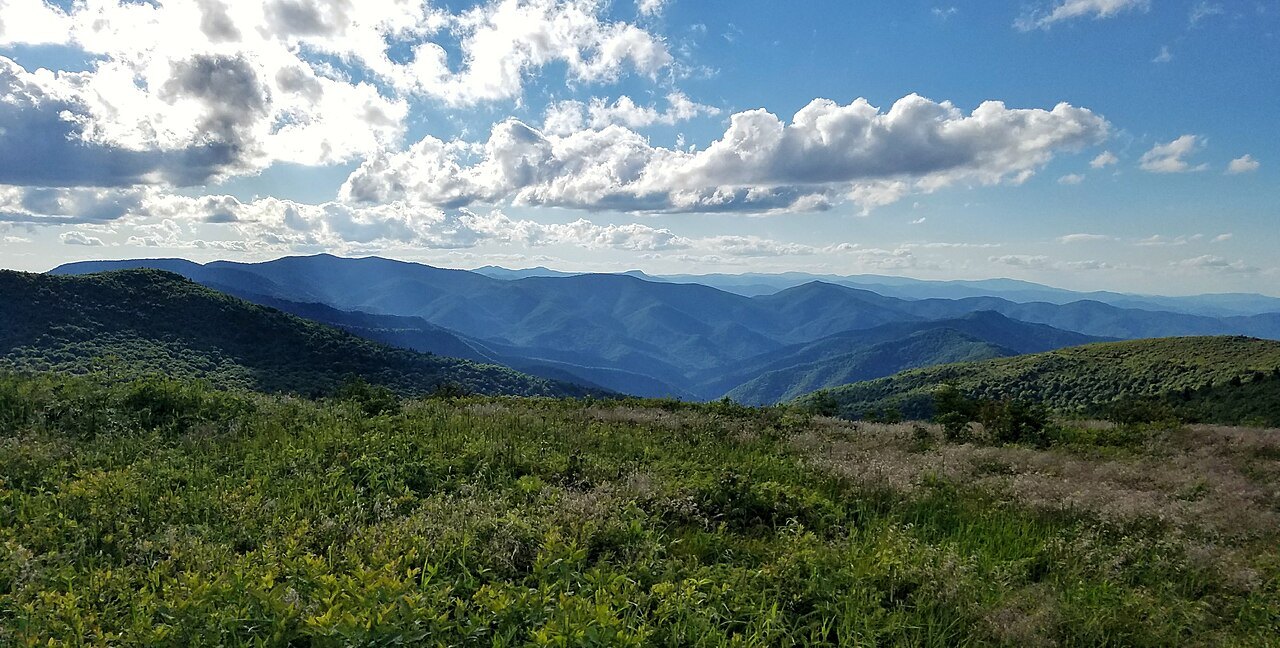 The grassy bald of Black Balsam Knob and the blue ranges beyond.