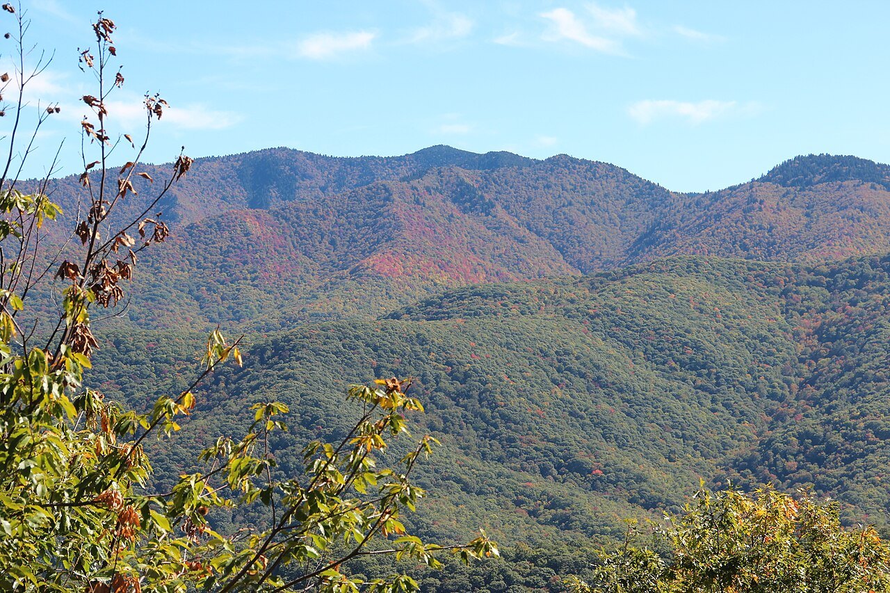 Richland Balsam and its neighbors in autumn, seen from an overlook on the Parkway.