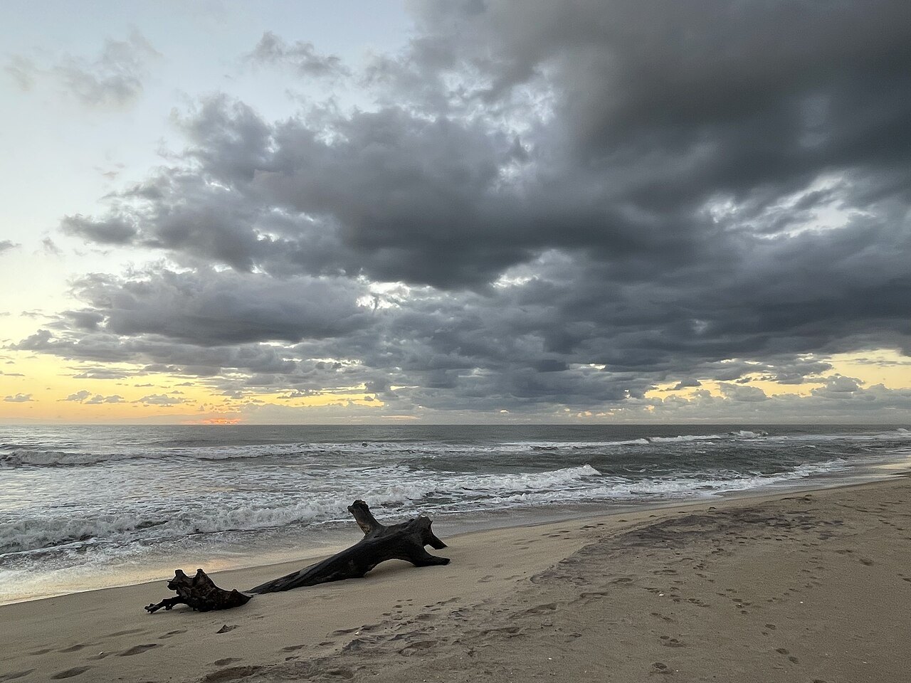 Driftwood on the beach at Buxton before sunrise.