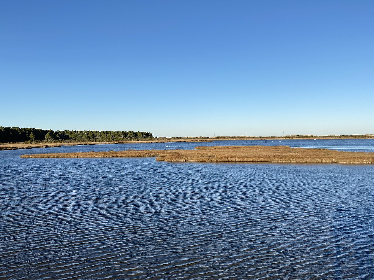 Marsh and open water seen from the viewing platform at Bodie Island.