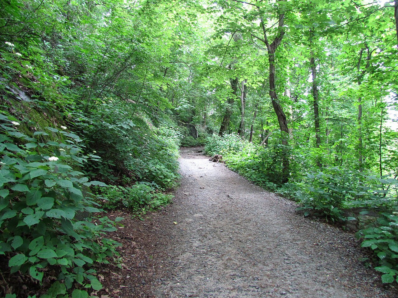 The Hickory Nut Falls trail winding through green woods.