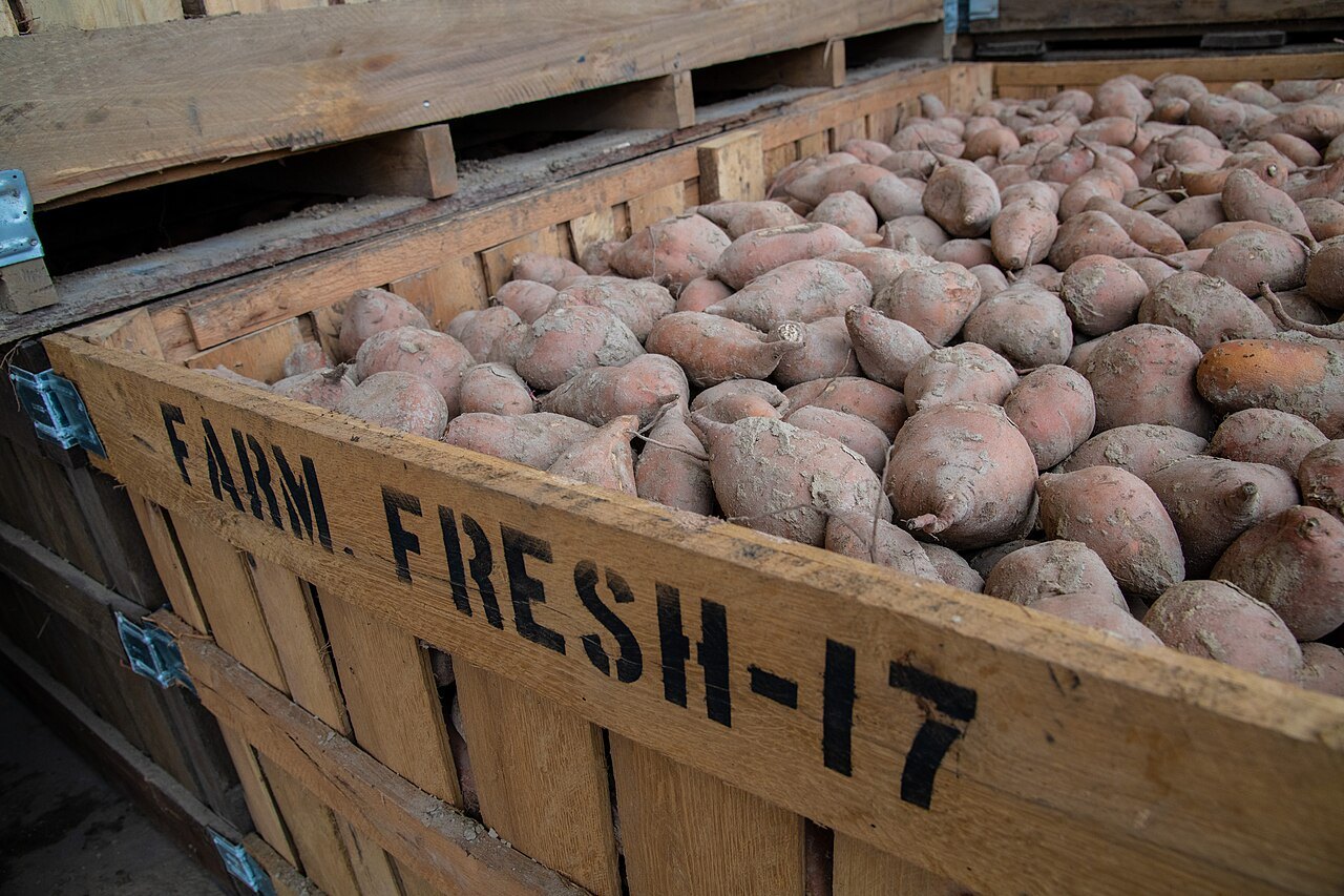 Sweet potatoes piled in a wooden farm crate.