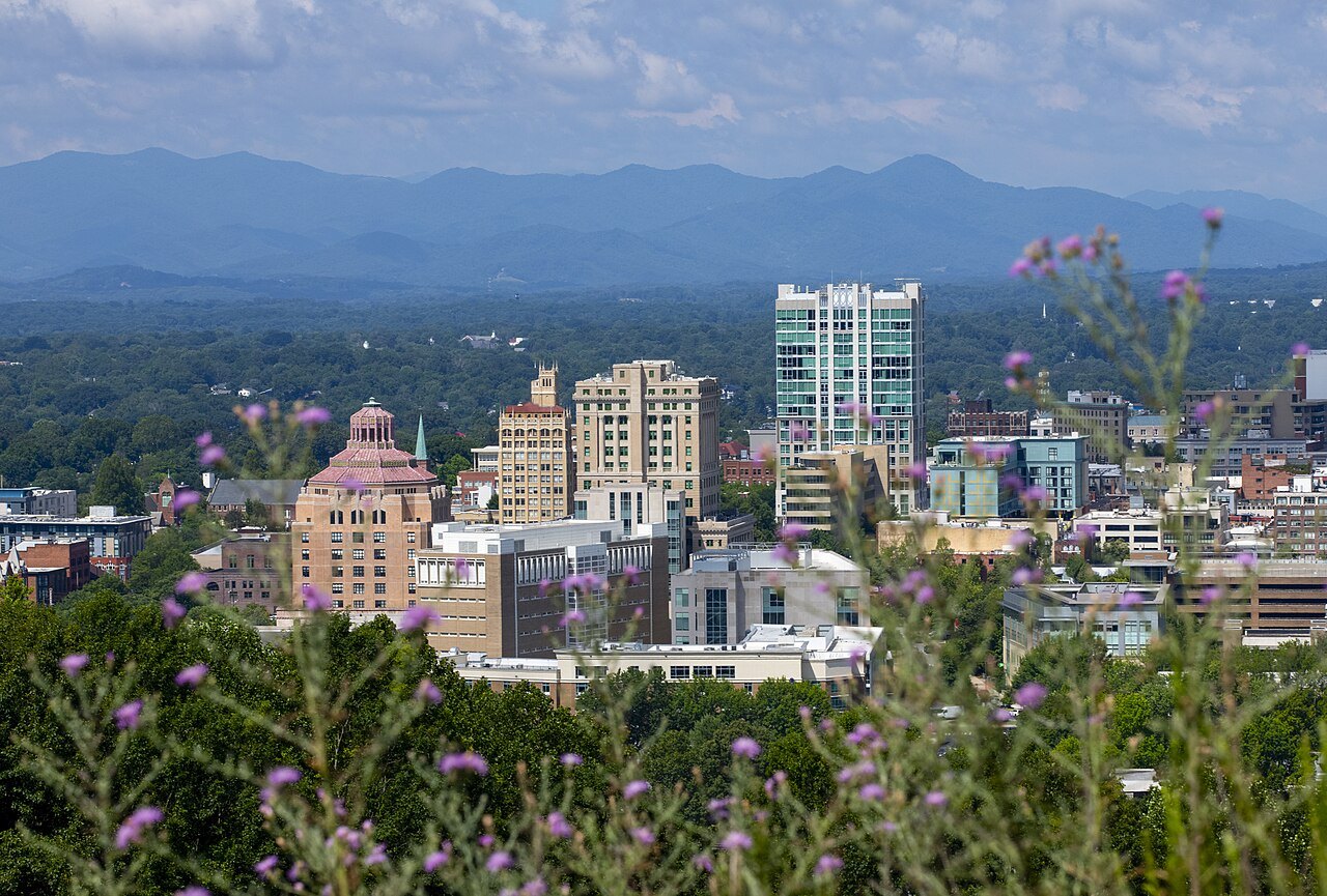 Downtown Asheville's buildings against the Blue Ridge, with thistles in the foreground.