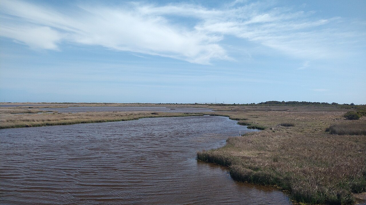 A tidal inlet winding through marsh grass on the North Carolina coast.