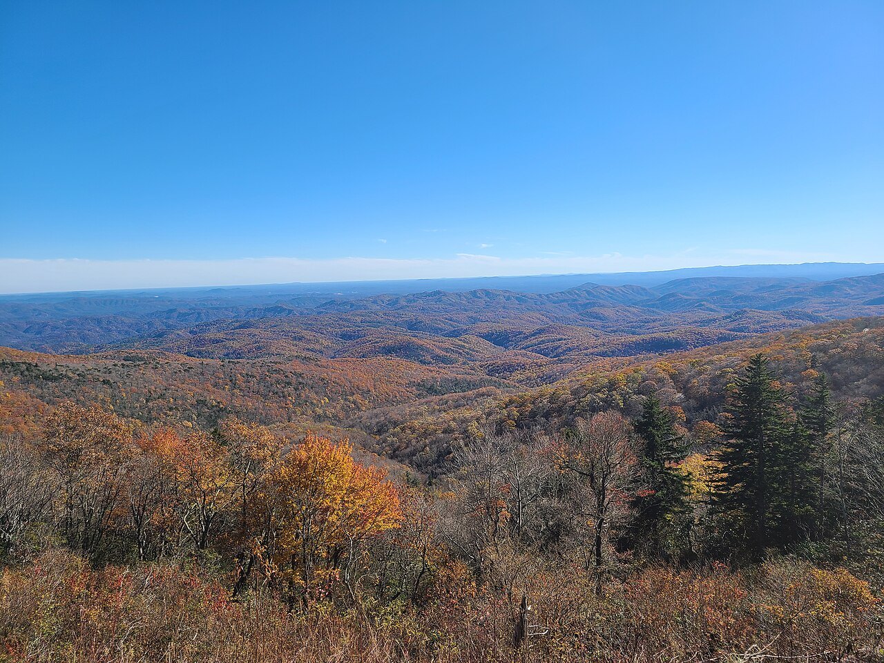 Autumn color on the ridges below the Blue Ridge Parkway near Grandfather Mountain.