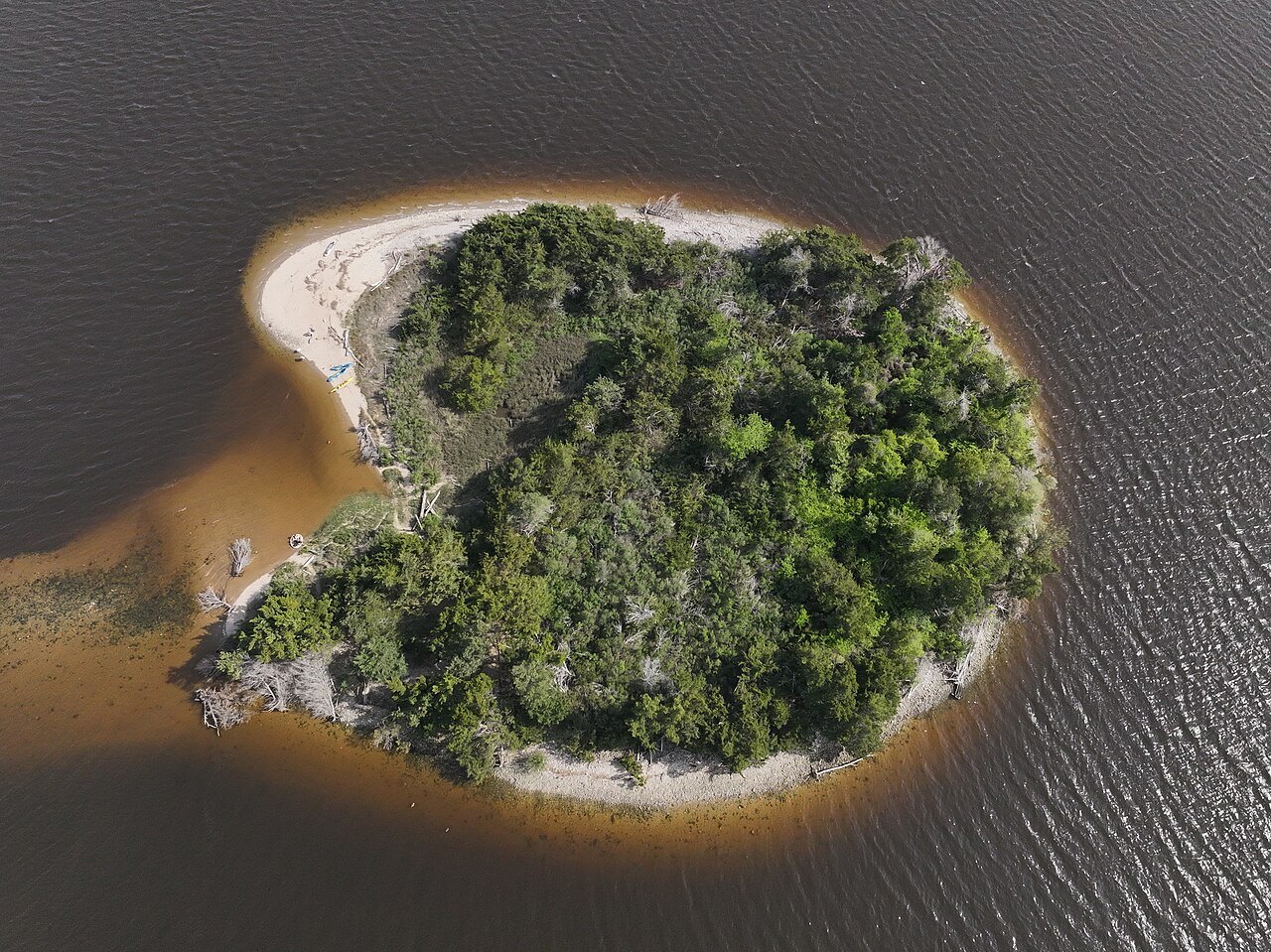 Shark Tooth Island in the Cape Fear River, seen from above.