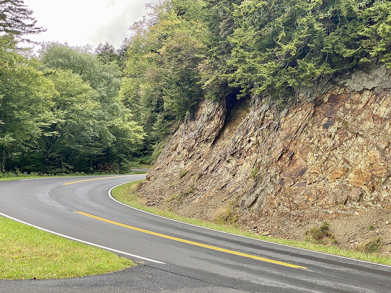 Clingmans Dome Road curving past a rock cut on the North Carolina side of the Smokies.