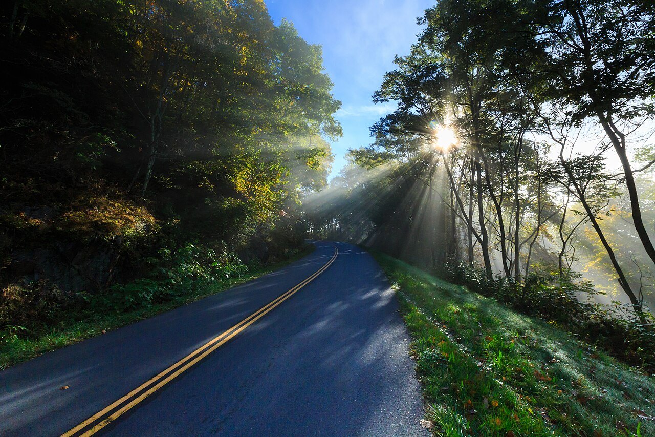 Sun breaking through trees over a winding stretch of the Blue Ridge Parkway.