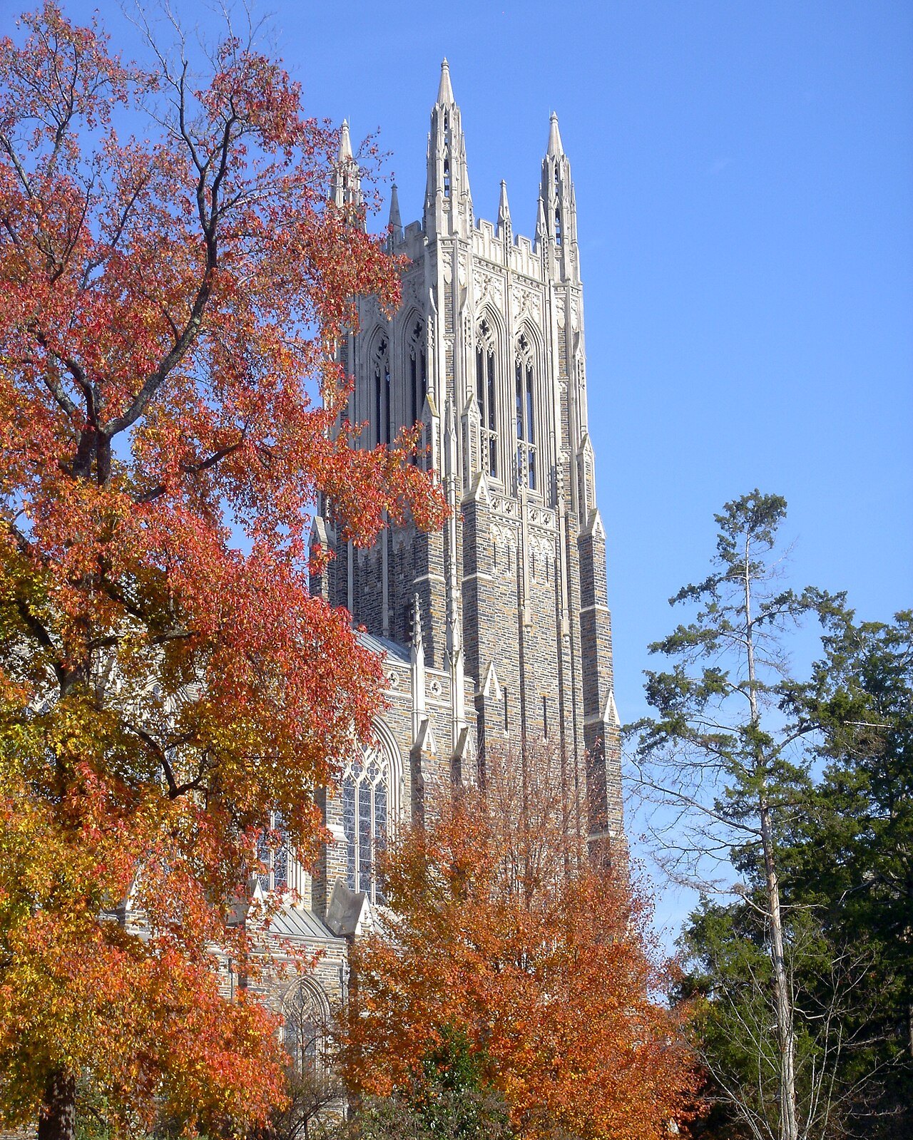 The tower of Duke Chapel beside a tree in autumn color.
