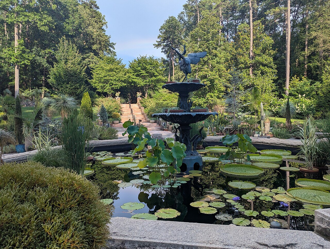 A fountain and lily pond in the Sarah P. Duke Gardens.
