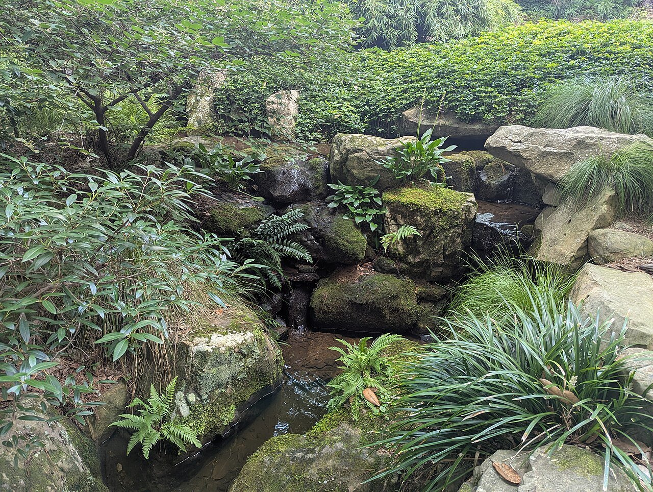 A small waterfall among rocks and ferns in the Sarah P. Duke Gardens.