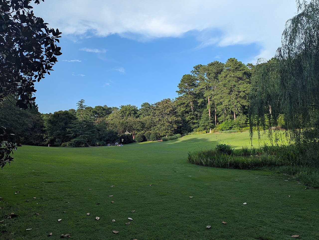 The broad lawn of the Sarah P. Duke Gardens.