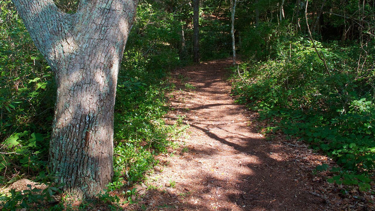 A woodland trail at Fort Raleigh National Historic Site.