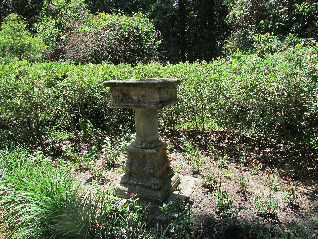 A stone basin on a pedestal among the plantings of the Elizabethan Gardens.