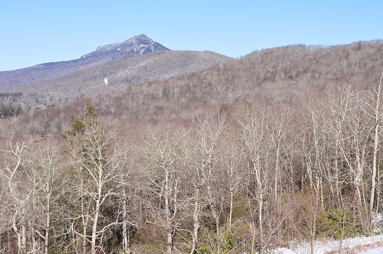 Grandfather Mountain above bare winter woods.