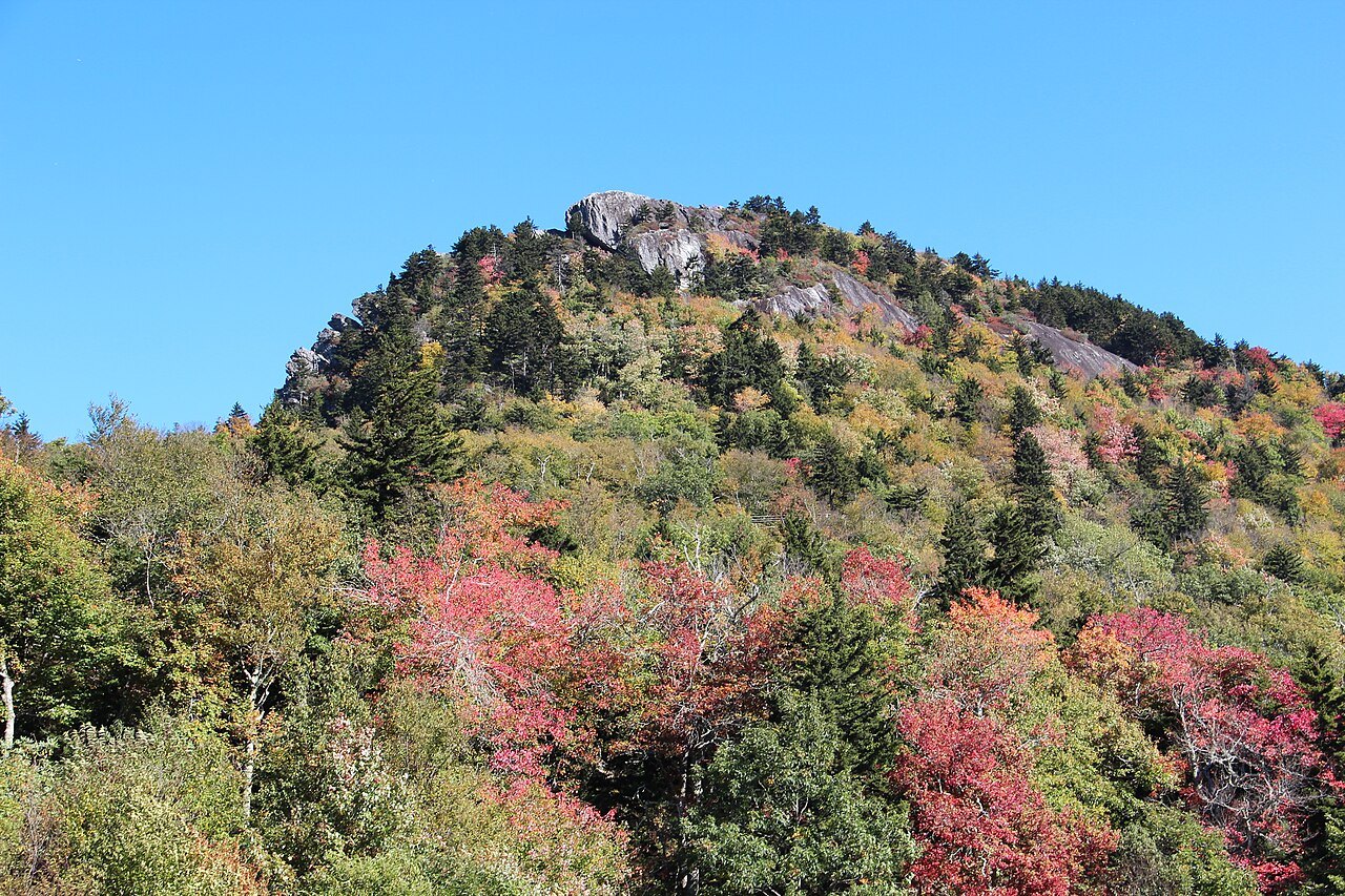 Linville Peak above red autumn shrubs, seen from the visitor center.