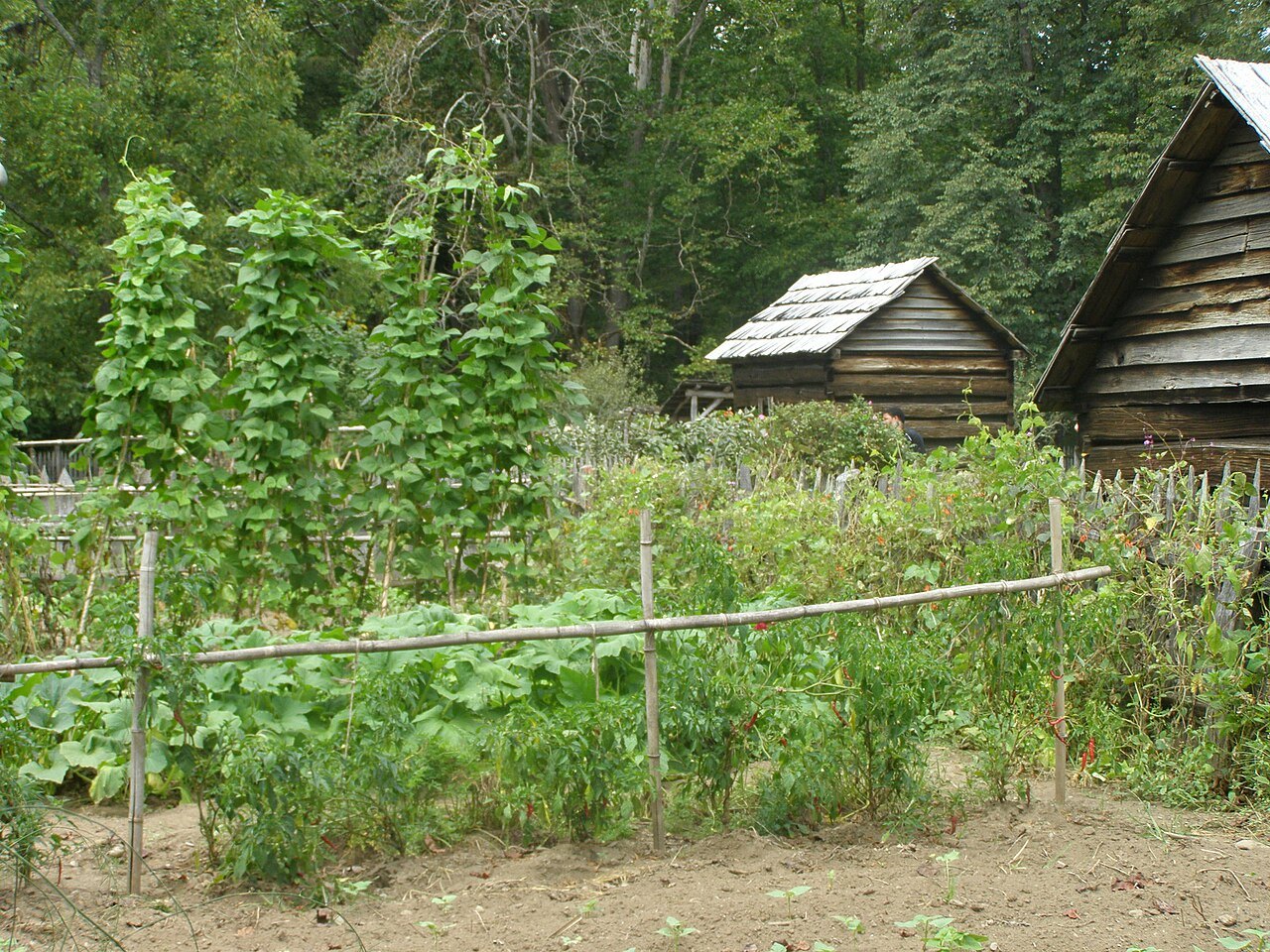 Log outbuildings and a vegetable garden at the Mountain Farm Museum at Oconaluftee.