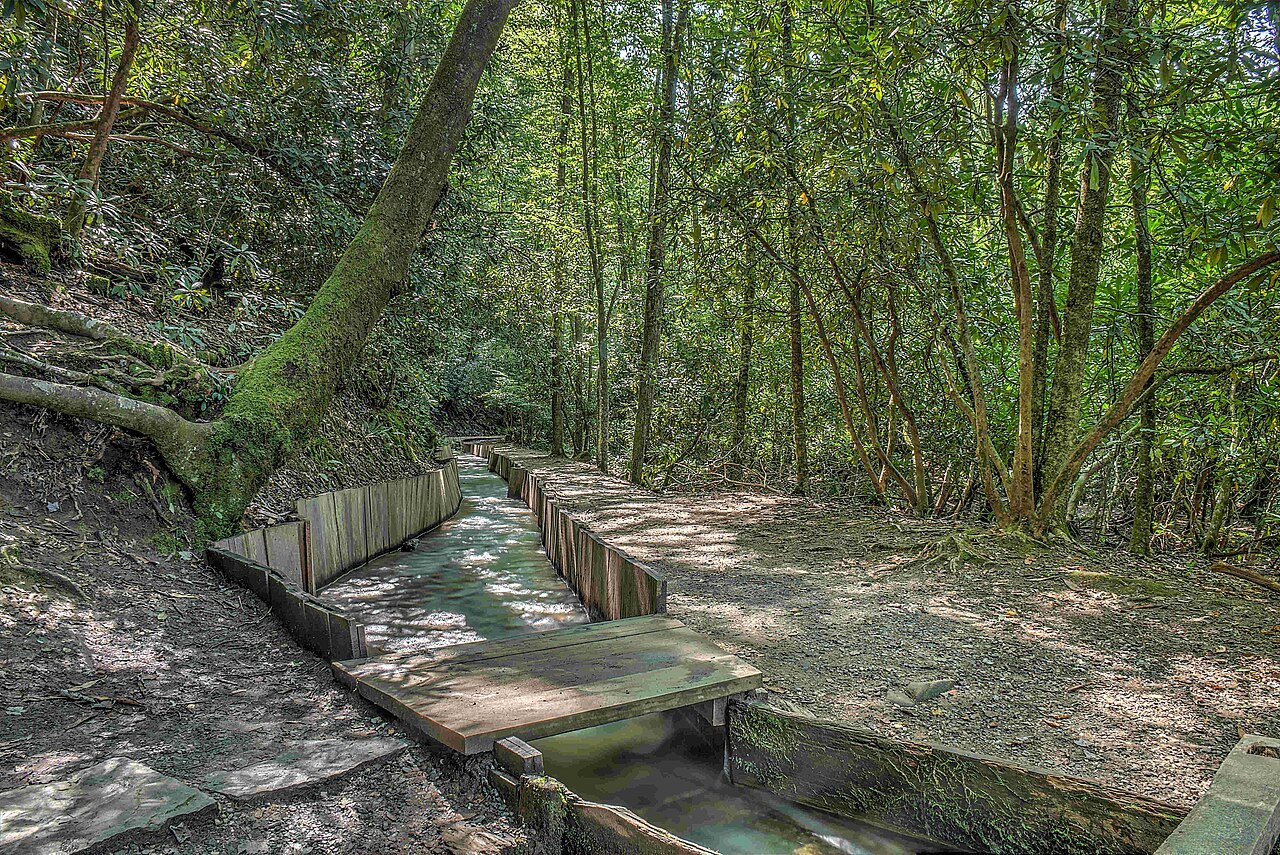 Mingus Creek and the flume winding through the forest.