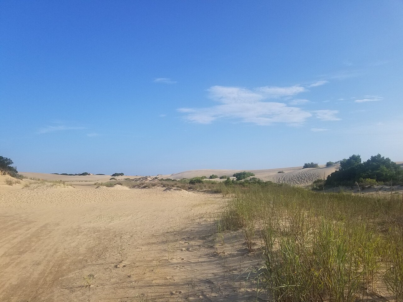 A sandy track beside beach grass at the foot of the dunes.