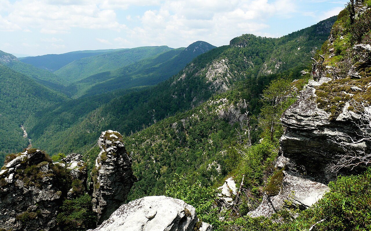 Rock towers on the rim above the Linville Gorge.