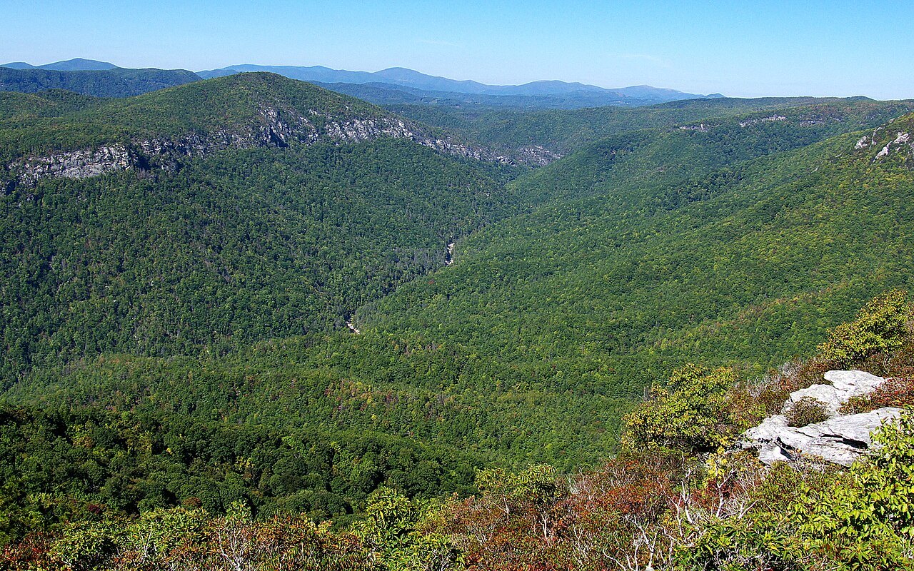 The long wooded trench of the Linville Gorge.