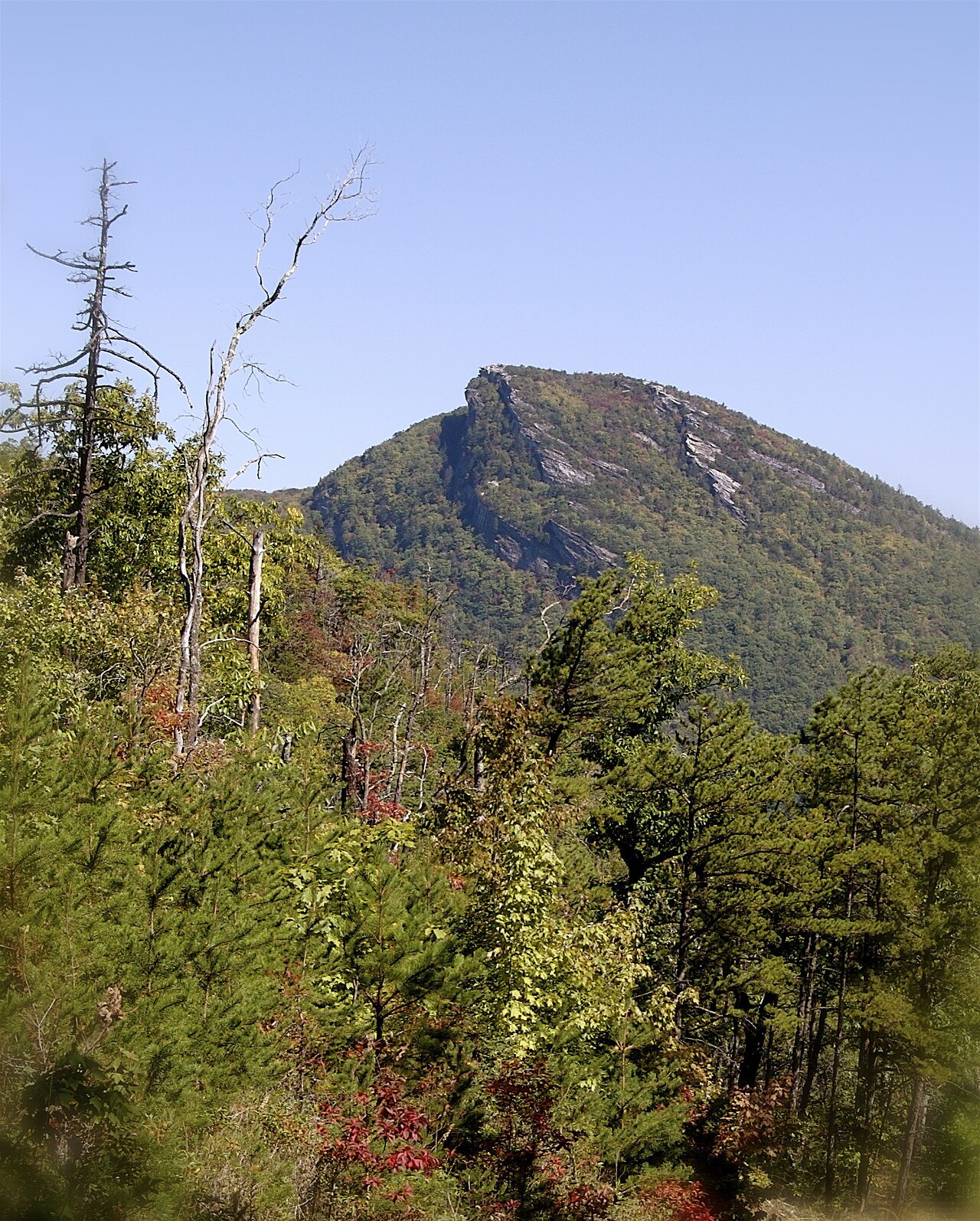 The rocky crown of Hawksbill Mountain above the gorge.