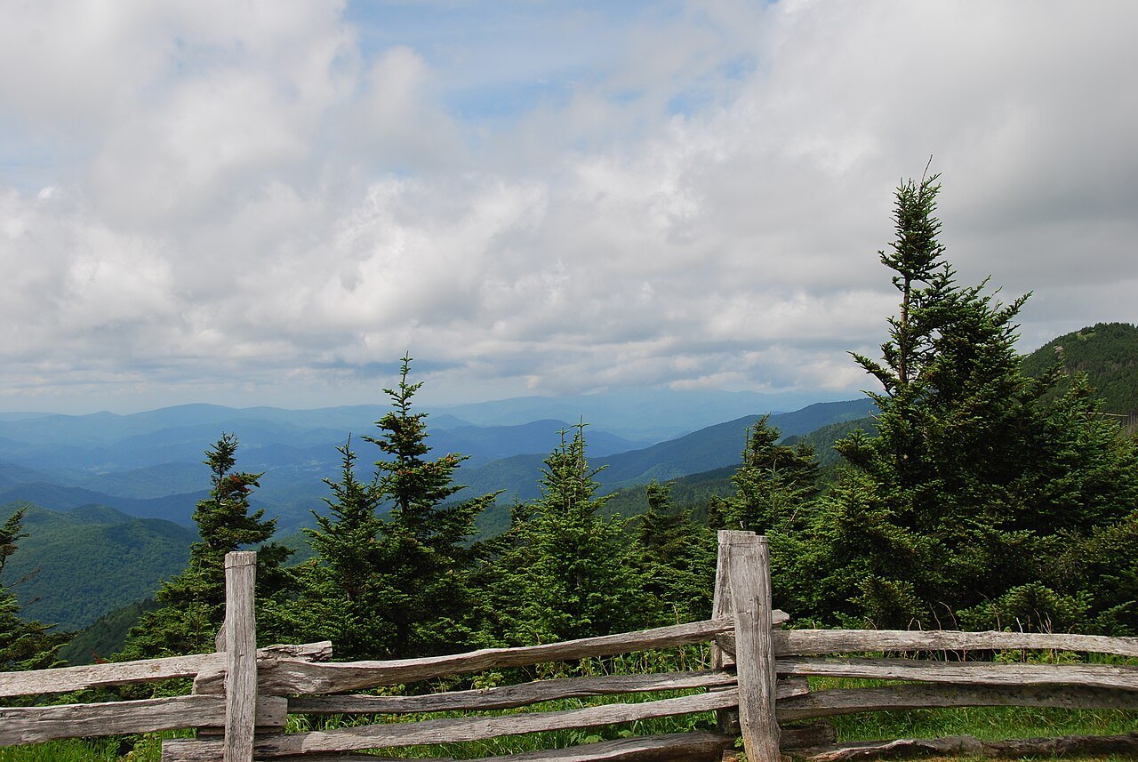 Spruce and a split-rail fence at an overlook on Mount Mitchell.