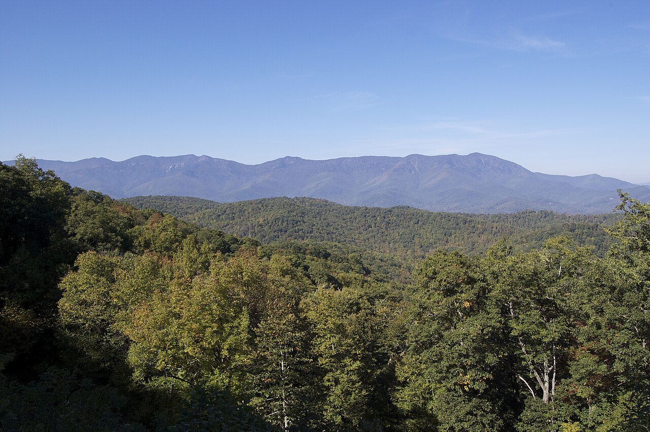 The long ridge of the Black Mountains above the forest.