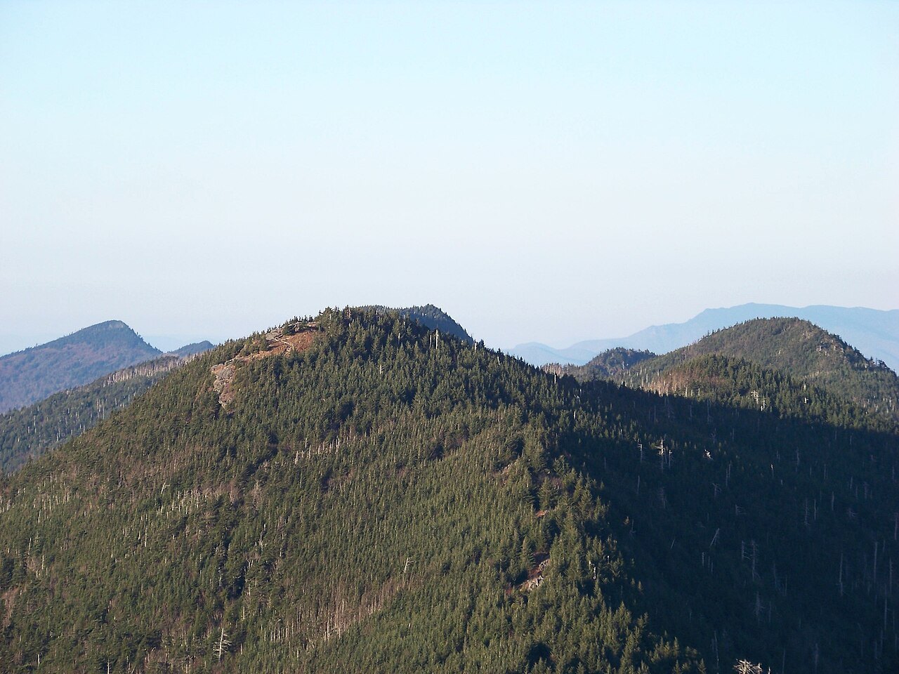 A forested ridge of the Black Mountains under a hazy sky.