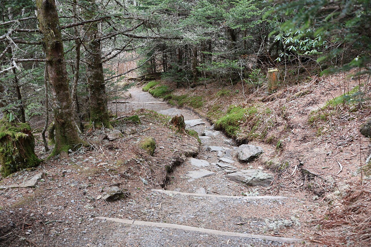 A rocky stretch of the Balsam Nature Trail on Mount Mitchell in March.