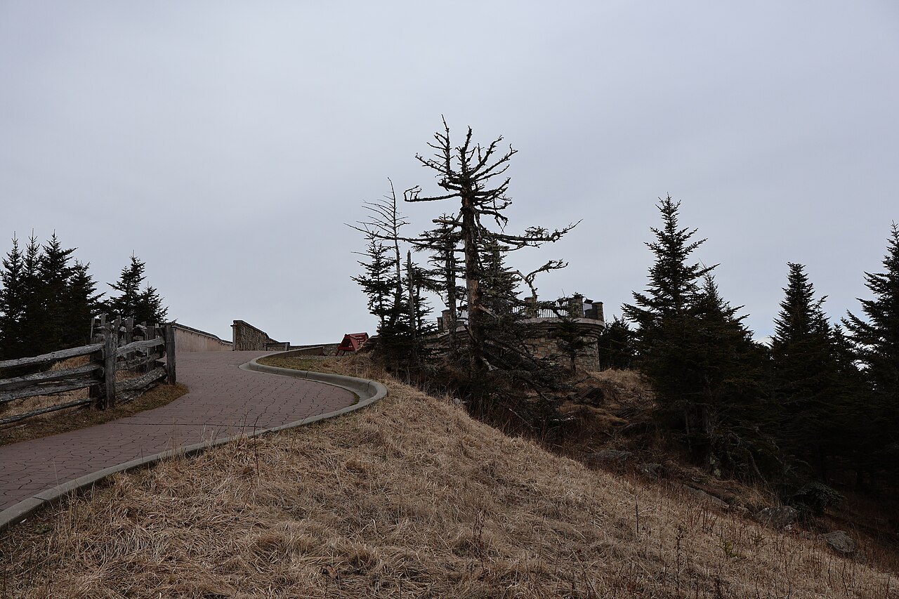 The paved summit trail on Mount Mitchell between Fraser firs.