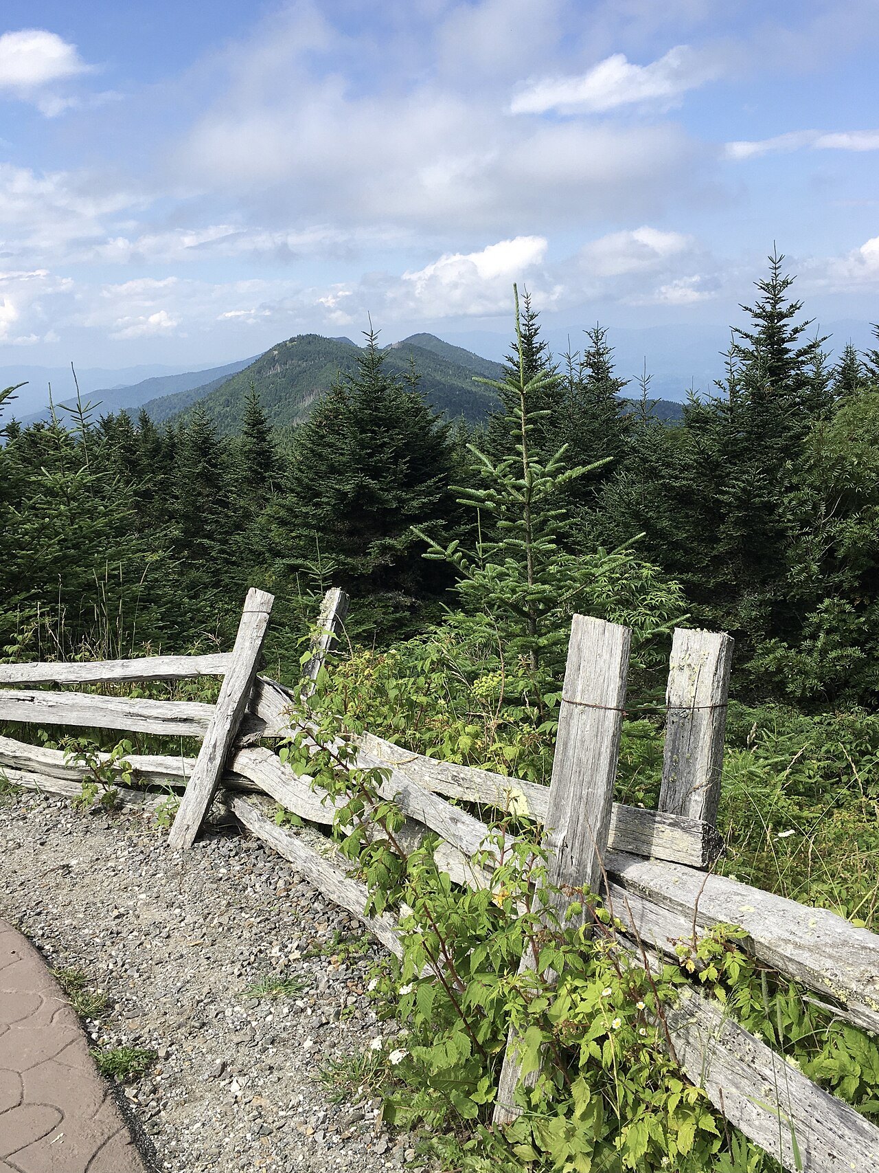 A split-rail fence along the path down from the summit of Mount Mitchell.