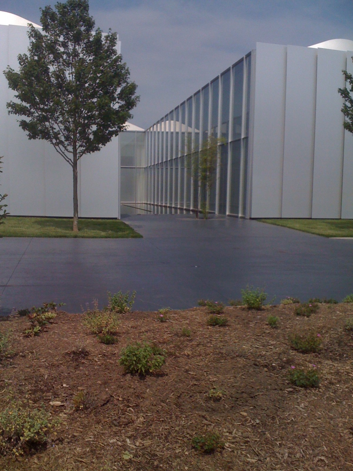 The aluminum walls of the West Building and a young tree.