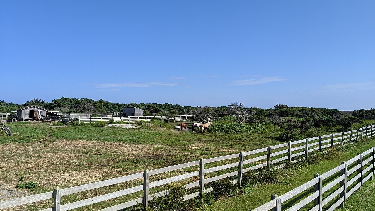 The pony pens on Ocracoke Island, behind a white rail fence.