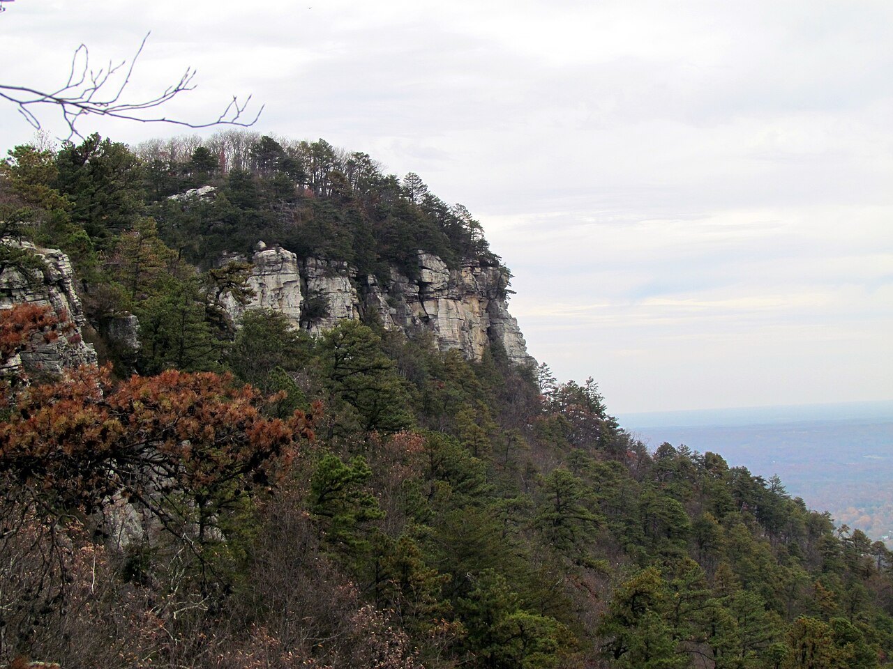 The cliffs of Big Pinnacle above the woods of Pilot Mountain.
