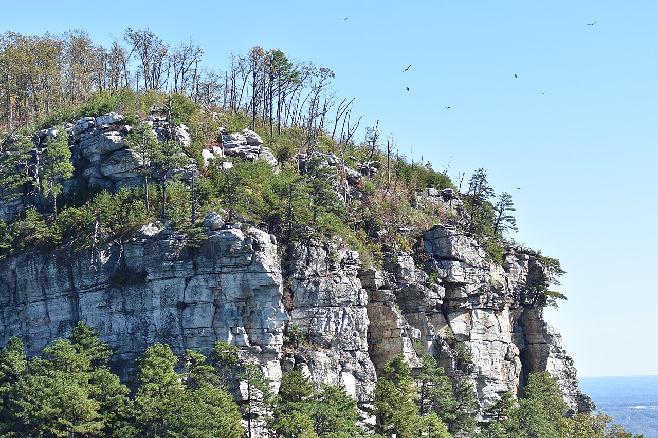 The quartzite cliffs of Big Pinnacle on Pilot Mountain.
