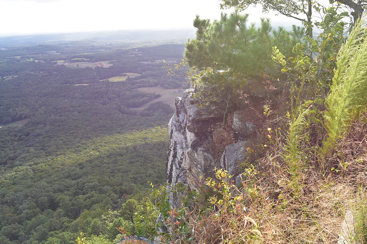 Cliffs and pines above the flat Piedmont farmland, seen from Pilot Mountain.