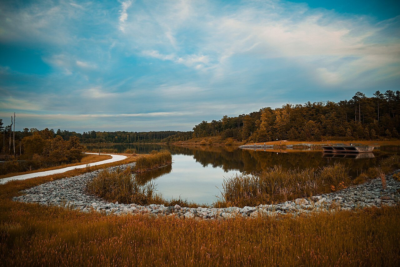 A pond among autumn grasses at Lake Betz in Research Triangle Park.