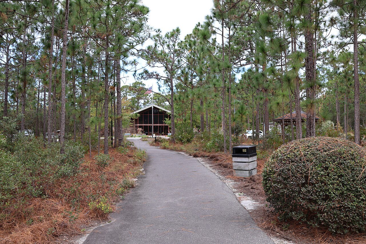 A path through the pines to the lodge at Halyburton Park.
